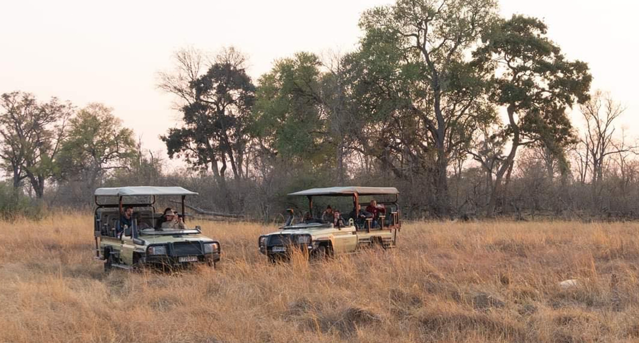 Game Drives